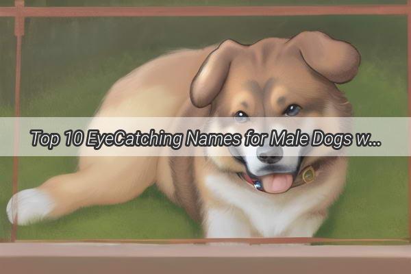 Top 10 EyeCatching Names for Male Dogs with the surname Fu Unleash Your Canines Unique Identity